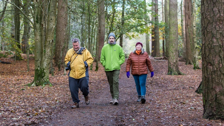 Three people walking through the autumn woods